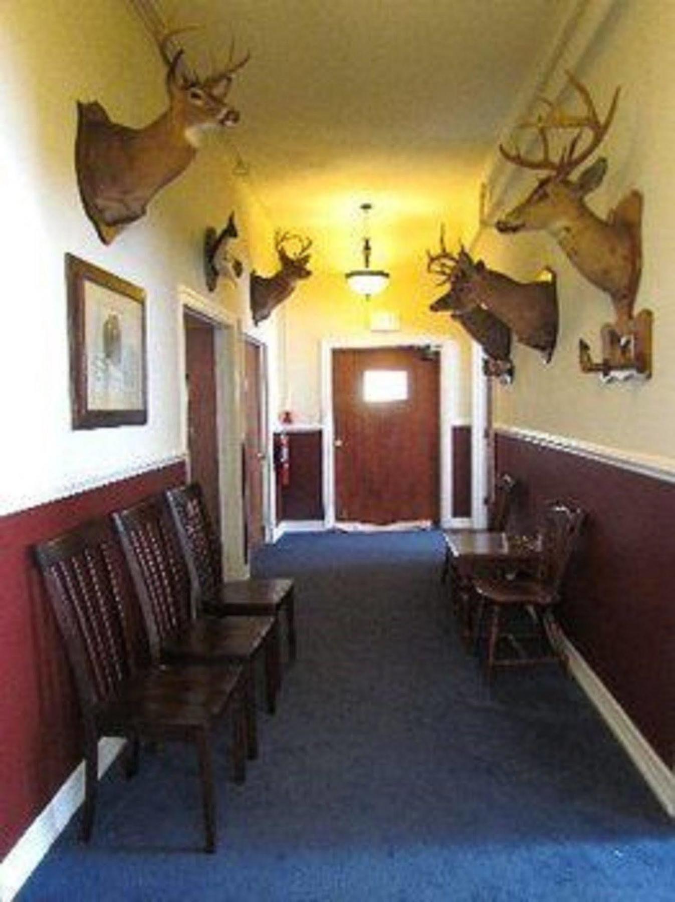 Macarthur Inn Narrows Bagian luar foto